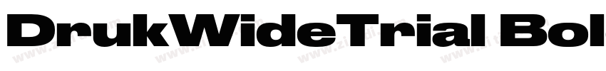DrukWideTrial Bold字体转换